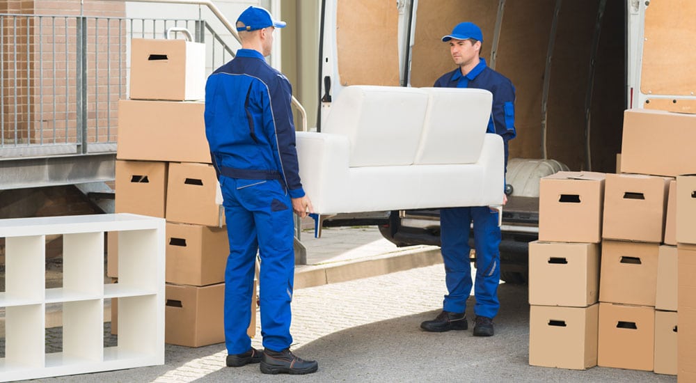 Who are Removalists