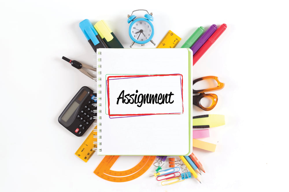 the understanding of assignment