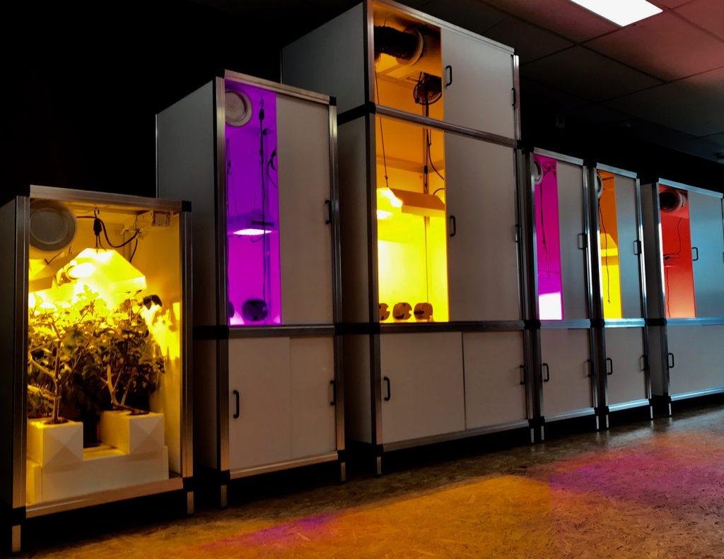 Grow Reliable And TopRated Alternate Planting Wonders Feed